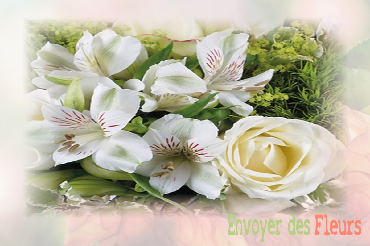envoyer des fleurs à à SAINT-JEAN-DE-BOISEAU
